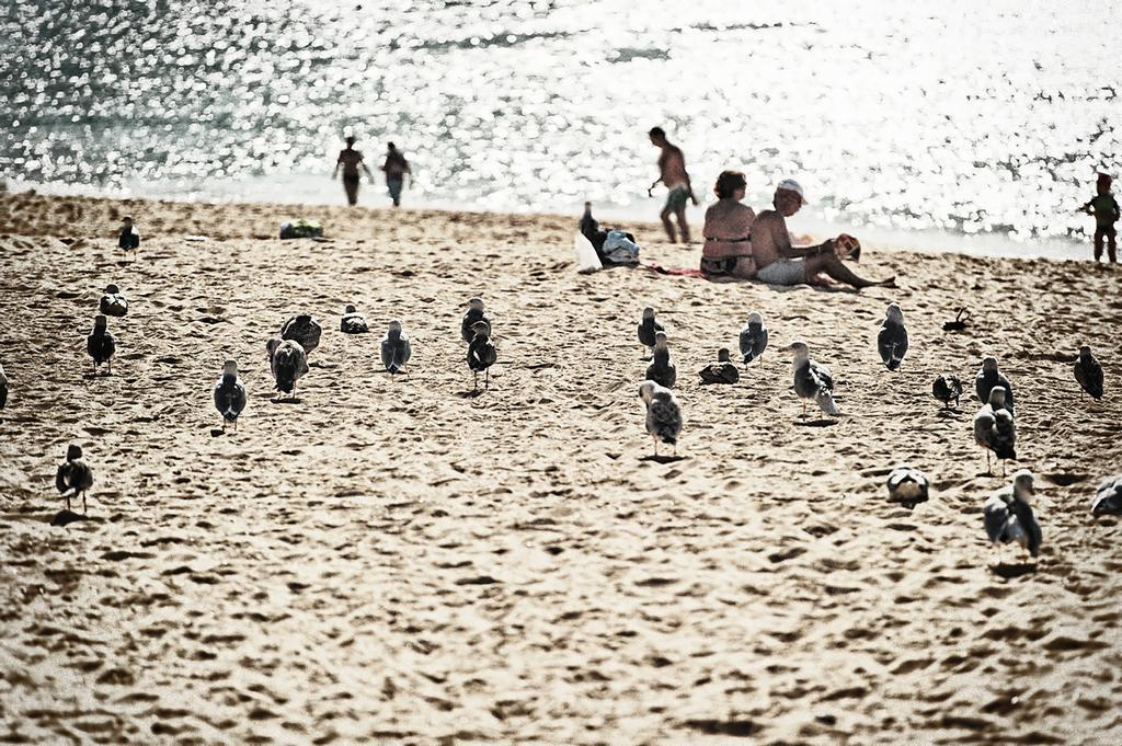 Rosamar Apartamentos Armacao de Pera Bagian luar foto